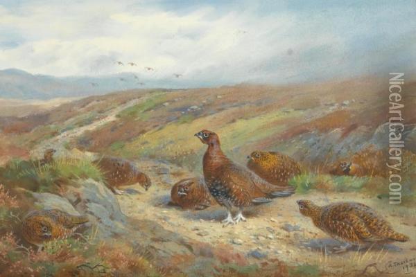 The Old Drove Road Oil Painting - Archibald Thorburn