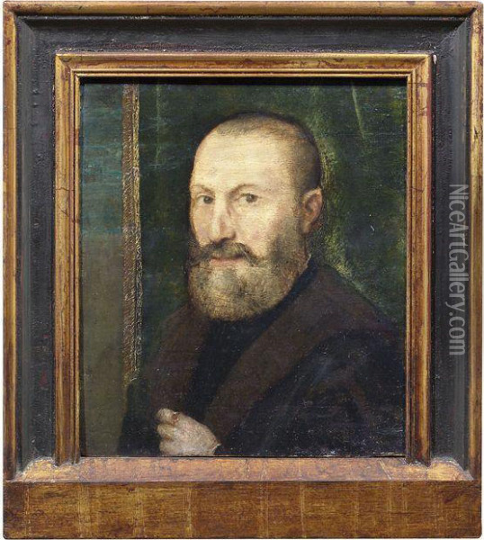Bildnis Eines Bartigen Mannes Vor Einem Grunen Vorhang Oil Painting - Tiziano Vecellio (Titian)