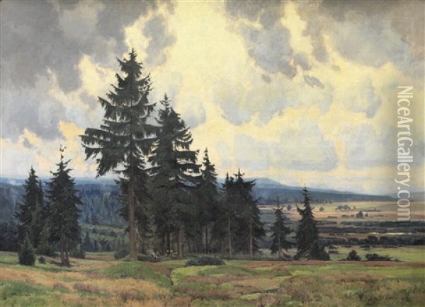 Hochmoor Im Isergebirge (gory Izerskie) Oil Painting - Karl Oenike