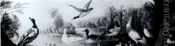 Mallard Ducks With Their Ducklings In A River Lands-        Cape Oil Painting - Marmaduke Cradock