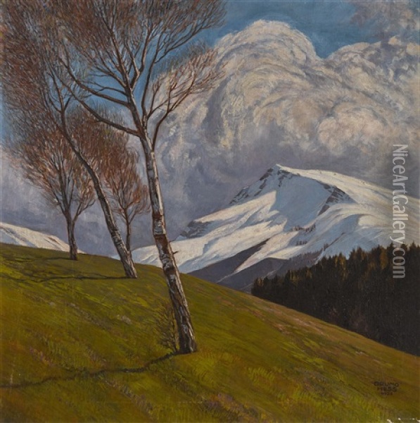 Gebirgslandschaft Oil Painting - Bruno Hess