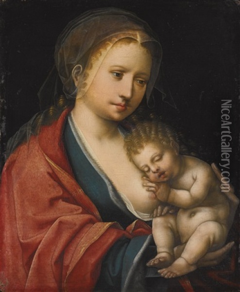 The Virgin And Child Oil Painting -  Master of the Parrot