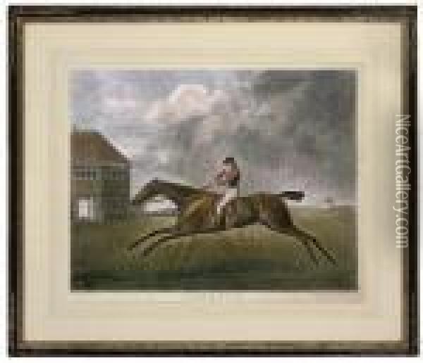 Baronet, By George Townly Stubbs Oil Painting - George Stubbs