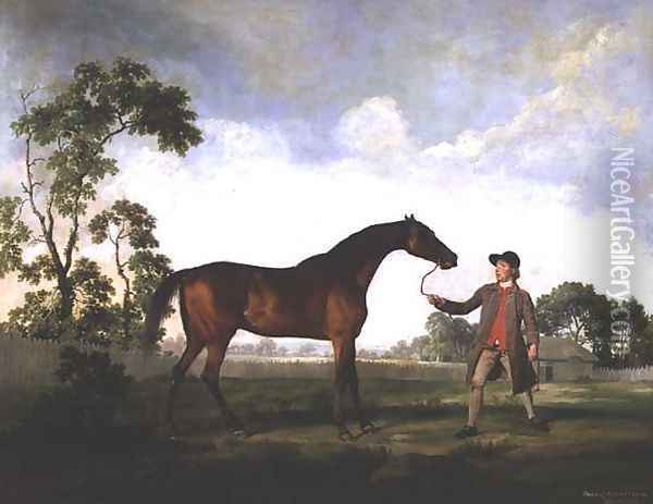 The Duke of Ancasters bay stallion Spectator, held by a groom, c.1762-5 Oil Painting - George Stubbs