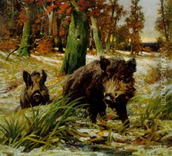Wildschweine Im Winterwald Oil Painting - Adolf Kaufmann