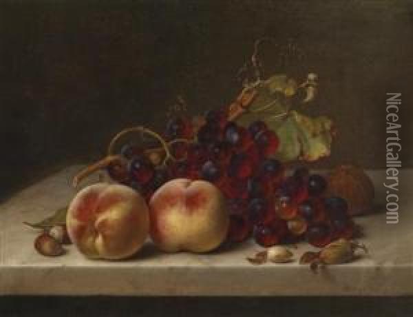 Still Life With Grapes And Hazelnuts Oil Painting - Johann Wilhelm Preyer