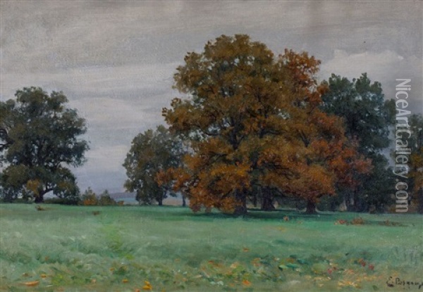 Pejzaz Jesienny Oil Painting - Eugeniusz Wrzeszcz