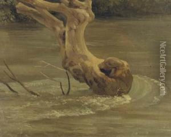 Des Remous Autour D'un Tronc D'arbre Dans Un Cour D'eau A Tivoli Oil Painting - Simon-Joseph-Alexandre-Clement Denis