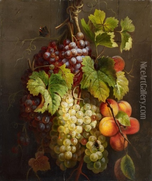 A Fruit Still Life Oil Painting - Cornelis van Spaendonck