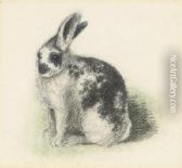 A Piebald Rabbit Oil Painting - William Strutt