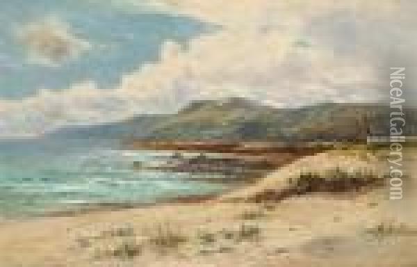 Coastal Scene Oil Painting - Daniel Sherrin