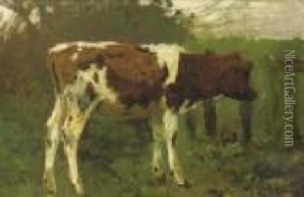 The Calf - A Study Oil Painting - Anton Mauve