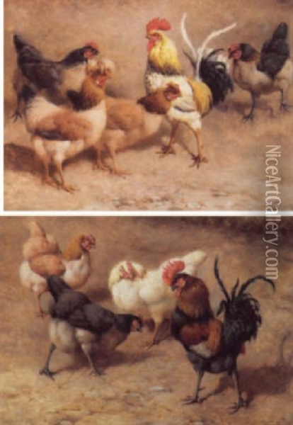Cockerel And Hens Oil Painting - William Baptiste Baird