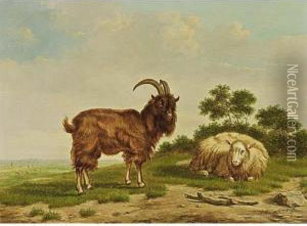 Sheep And Goat In A Landscape Oil Painting - Arthur De Waerhert
