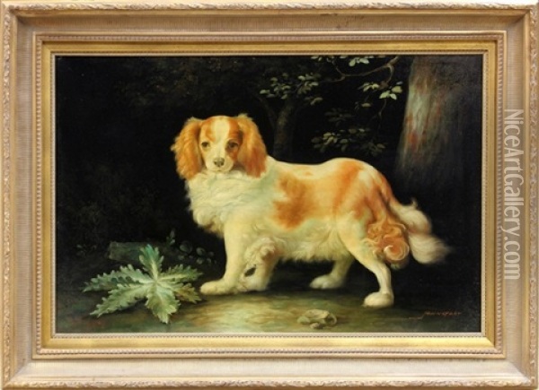 Portrait Of A King Charles Spaniel Oil Painting - John Gray