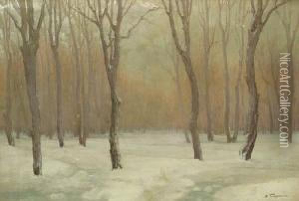 Peisaj De Iarna Oil Painting - Nicolae Tempeanu