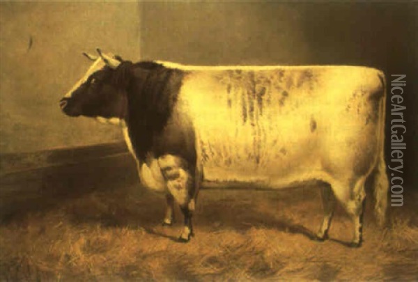 Princess Josephine 2nd, A Champion Cow, At Smithfield And Birmingham Oil Painting - Frank Babbage