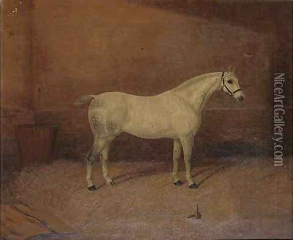 A dappled grey hunter in a stable Oil Painting - A. Clark