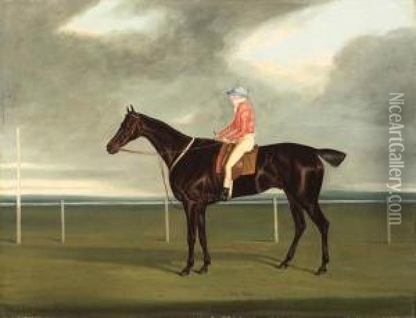 Tom Paine With Jockey Up Oil Painting - David of York Dalby