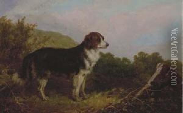 Watch Dog On Top Of A Hill Oil Painting - John Sutcliffe