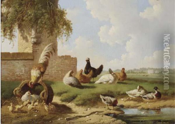 Poultry By A Ruin, A Country House In The Distance Oil Painting - Albertus Verhoesen