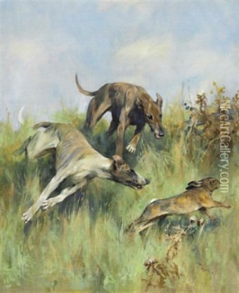 Rabbits Pursued By Greyhounds Oil Painting - Arthur Wardle