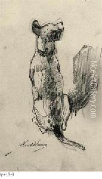 Study Of A Dog Oil Painting - Nicolaas Van Der Waay