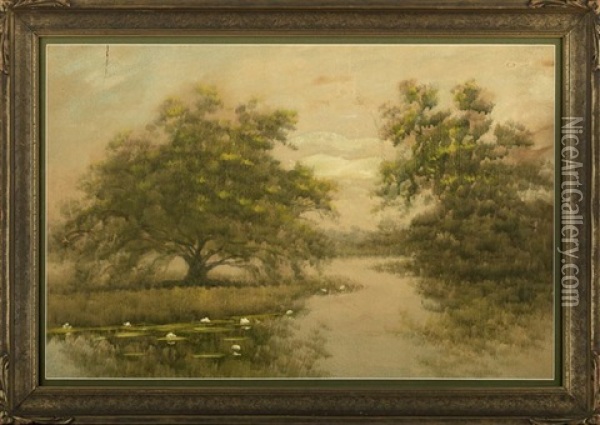 Water Lilies And Trees Along The Louisiana Bayou Oil Painting - Alexander John Drysdale