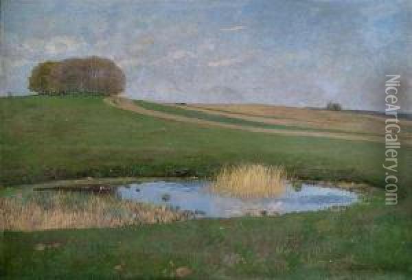 Summery Landscape With A Tarn. Oil Painting - Hans Richard Von Volkmann