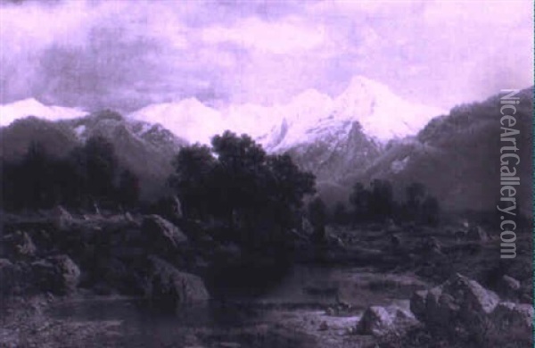 Deer Watering At An Alpine Pond Oil Painting - Karl Millner