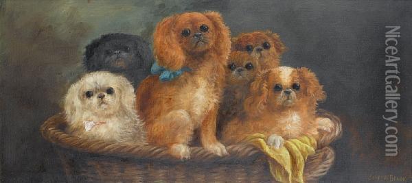 Puppies In A Basket: Cavalier King Charles Spaniels Oil Painting - James W. Brook