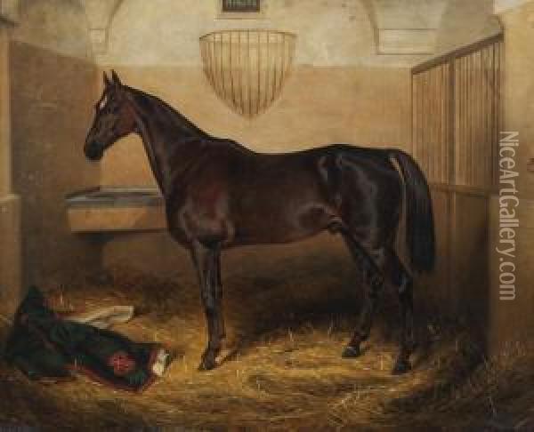 Portrait Du Cheval Philips Oil Painting - Theodor Schloepke