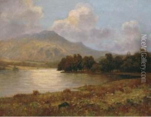 Loch Achray Oil Painting - William Barr