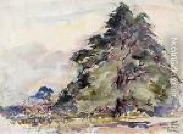 Hortus Leiden, Glinko Tree Oil Painting - Joseph Morris Raphael