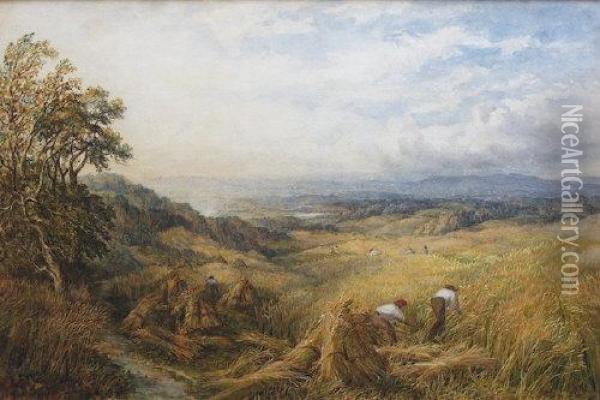 Harvesting Near Box Hill, Surrey Oil Painting - George Lucas