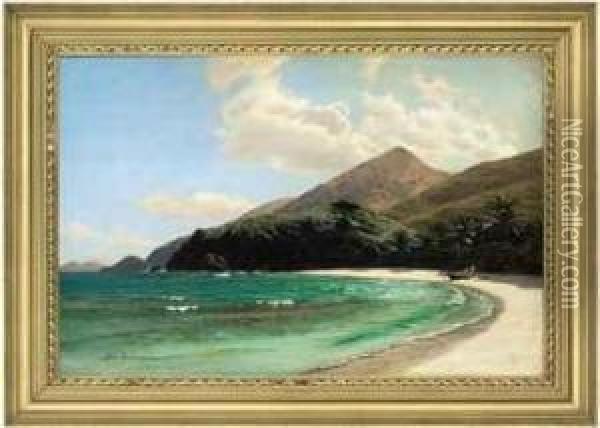 A Beach On Saint Thomas, Us Virgin Islands Oil Painting - Andreas Christian Riis Carstensen