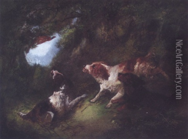 Dogs Hunting Pheasant Oil Painting - George Armfield