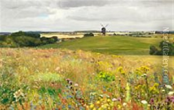 Summer Landscape Near Naestved With A View Of Ronnebaekholm's Mill Oil Painting - Hans Andersen Brendekilde