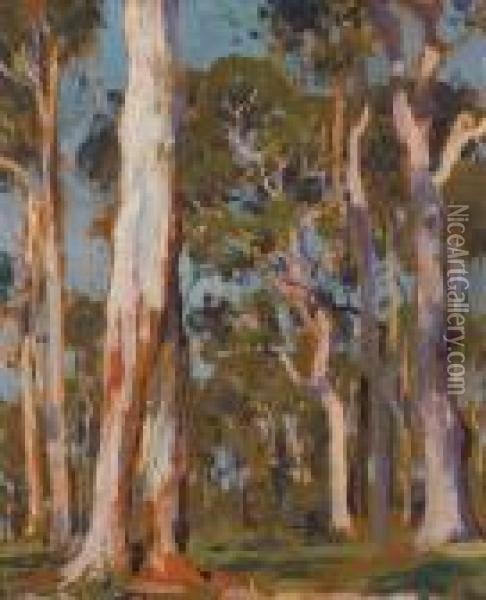 Gum Trees Oil Painting - Emanuel Phillips Fox