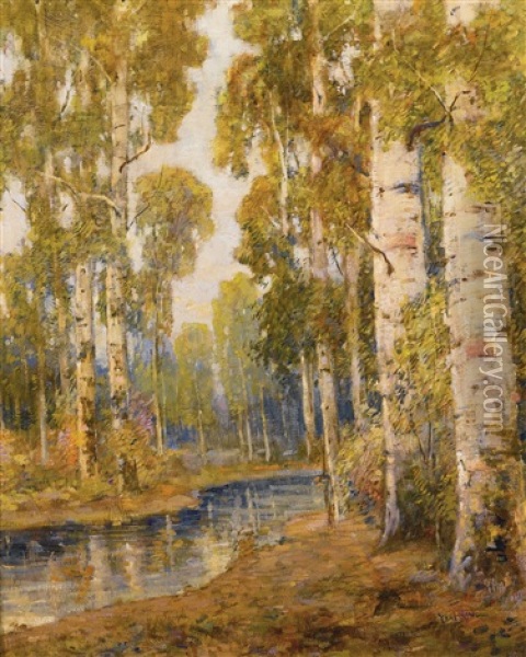 Birches By A Woodland Stream Oil Painting - Paul Bernard King