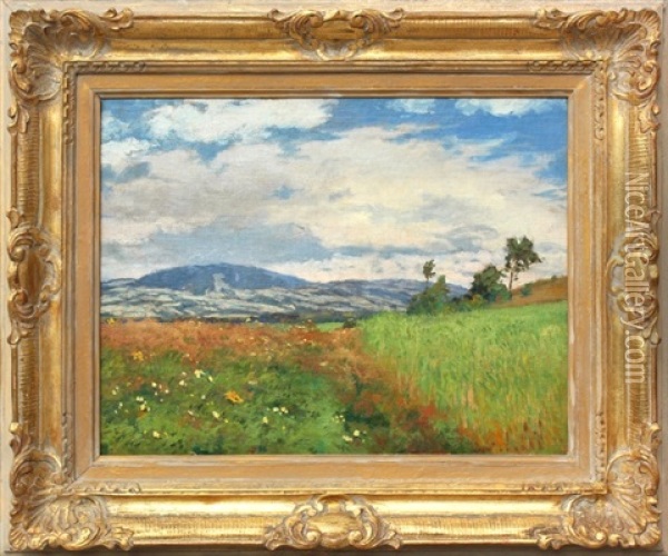 Krajina Oil Painting - Bohuslav Dvorak