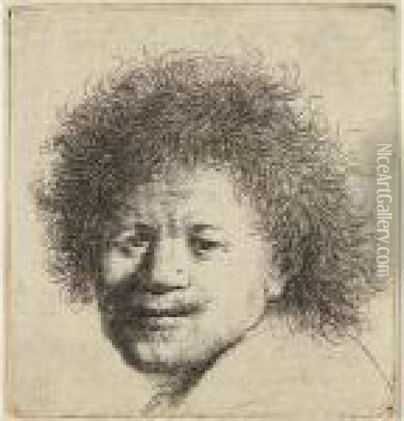 Self Portrait With Long Bushy Hair: Head Only Oil Painting - Rembrandt Van Rijn
