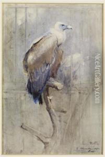 Tawny Vulture Oil Painting - Edwin John Alexander