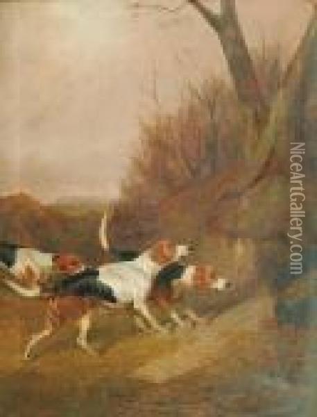 Hounds At The Mouth Oil Painting - Colin Graeme Roe