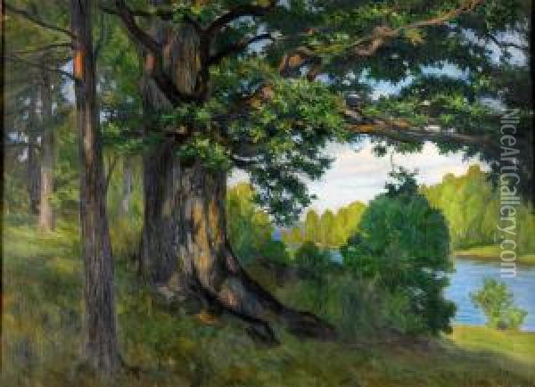 Den Gamla Eken - Sommarlandskap Med Vatten Oil Painting - Gustav Oscar Bjorck