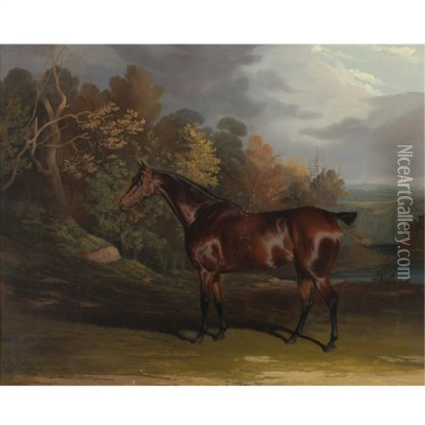 A Bay Hunter In A Sylvan Landscape Oil Painting - David (of York) Dalby