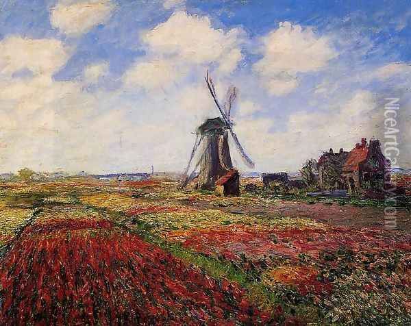 Field Of Tulips In Holland Oil Painting - Claude Oscar Monet