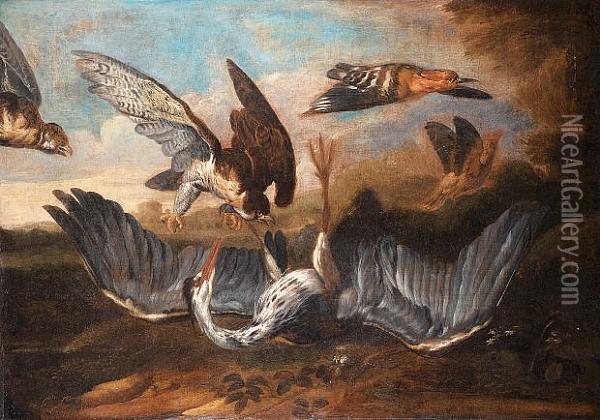 A Grey Heron Attacked By Gosshawks With A Hoopoe Flying Off Oil Painting - Francis Barlow