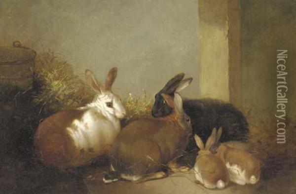 Rabbits In A Barn Oil Painting - John Frederick Herring Snr