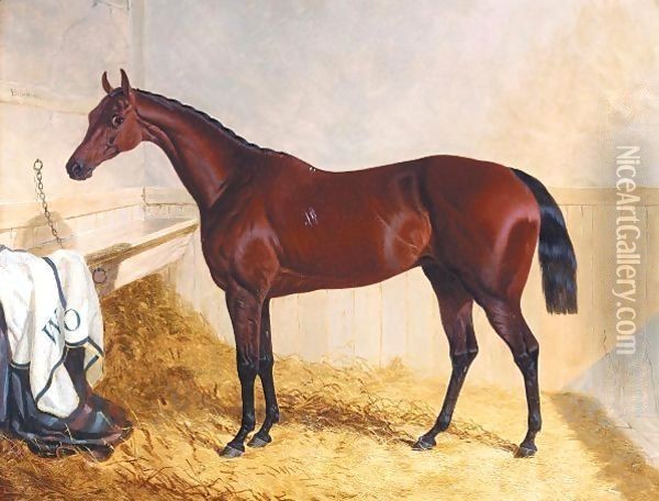 Mr William Orde's Bay Filly Bees-Wing In A Loose Box Oil Painting - John Frederick Herring Snr